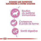 Royal Canin - Croquettes Kitten Sterilised pour Chaton - 400g image number null