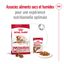Royal Canin - Croquettes Medium Ageing 10+ pour Chien Senior - 15Kg Indicateur image numéro 7