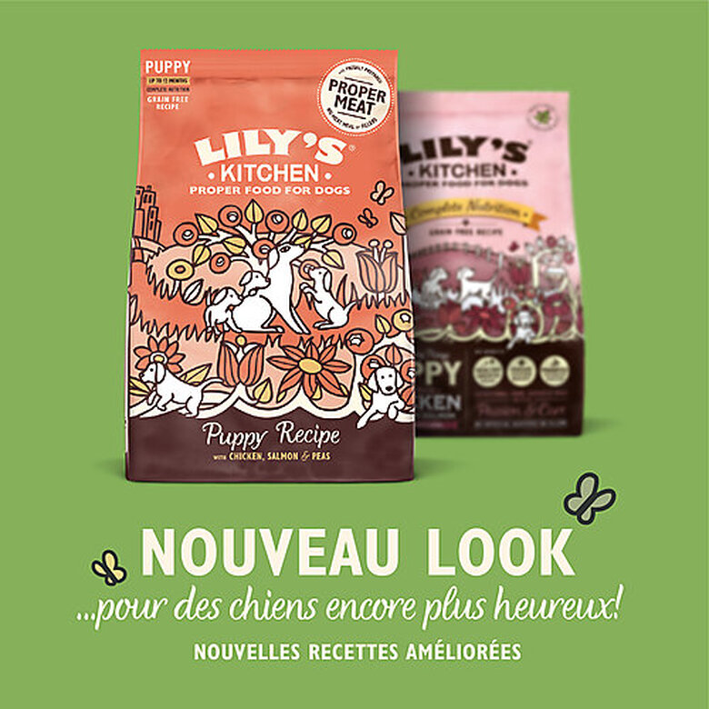 Lily's Kitchen - Croquettes Poulet et Saumon Sans Céréales pour Chiot - 2,5Kg image number null