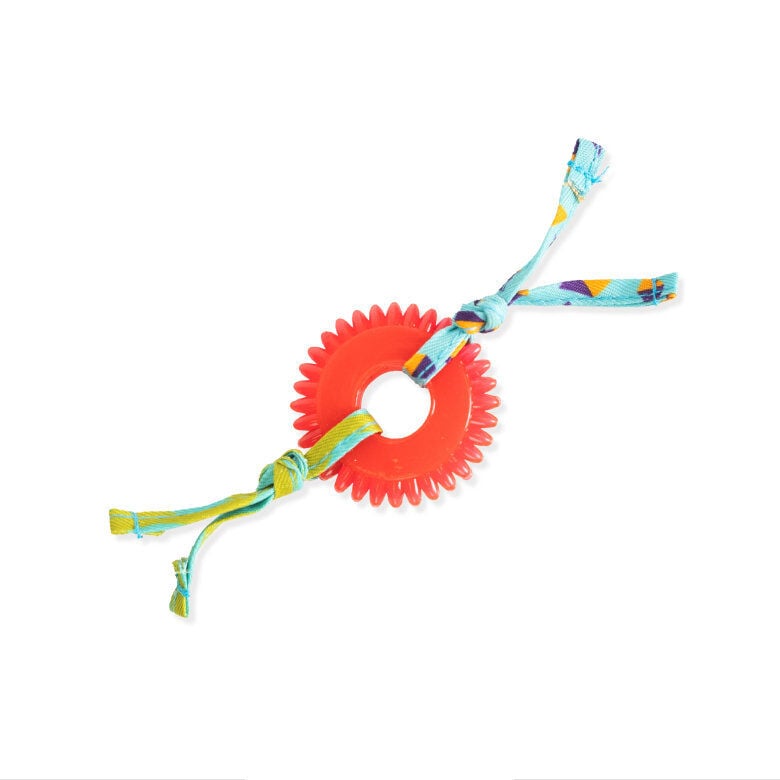 Outward Hound - Jouet &agrave; M&acirc;cher Kitty Chew Wheel pour Chats Image num&eacute;ro 1