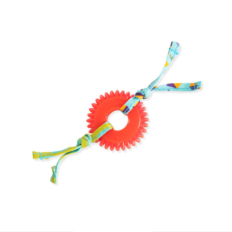 Outward Hound - Jouet à Mâcher Kitty Chew Wheel pour Chats Image numéro 1 Outward Hound - Jouet à Mâcher Kitty Chew Wheel pour Chats Image numéro 1