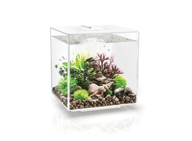 biOrb - Aquarium Cube - 30 mcr blanc