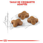 Royal Canin - Croquettes Kitten Second Age pour Chatons - 10Kg image number null