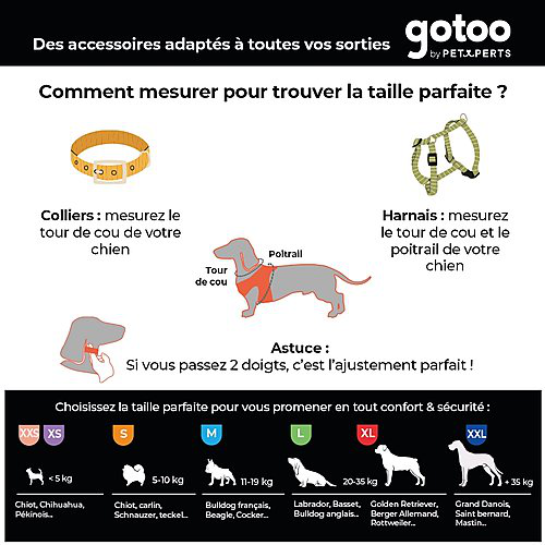 Gotoo - Collier Premium Biotane Gris pour Chien - S Image num&eacute;ro 6