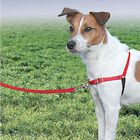 PetSafe - Harnais Easy Walk Rouge pour Chiens - XL image number null