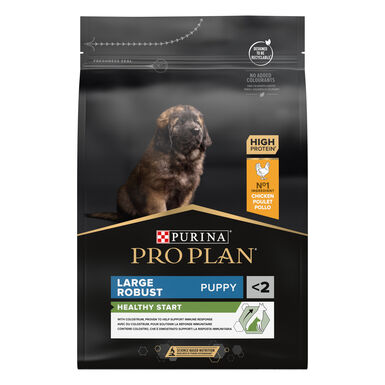 Pro Plan - Croquettes Healthy Start Large Robust Poulet pour Chiot