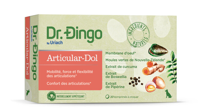 Dr. Dingo - Aliment Complémentaire Articular-Dol pour Chien - 30g Image numéro 1 Dr. Dingo - Aliment Complémentaire Articular-Dol pour Chien - 30g Image numéro 1