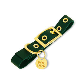 Pop Dog - Collier à ¼illet Elégant Vert pour Chien