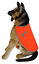 Alcott - Veste Réfléchissante Visibility Dog Orange pour Chien - L Indicateur image numéro 4