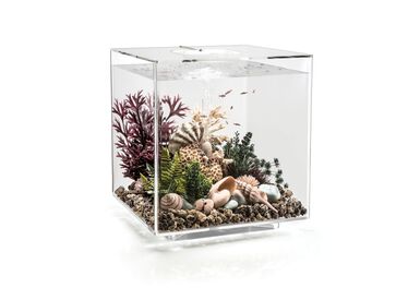 biOrb - Aquarium Cube 60 mcr transparent