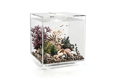 biOrb - Aquarium Cube 60 mcr transparent