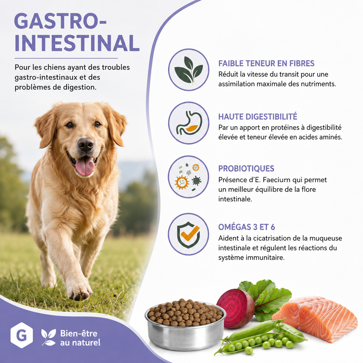 Nutrivia Vet - Croquettes Gastro Intestinal pour Chiens - 1,5Kg Image num&eacute;ro 3