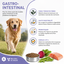 Nutrivia Vet - Croquettes Gastro Intestinal pour Chiens - 1,5Kg Indicateur image num&eacute;ro 3