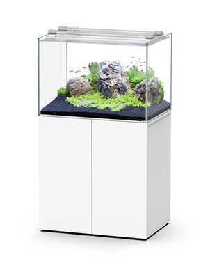 Aquatlantis - Ensemble Aquarium + Meuble Aquascape 80 - Led Blanc