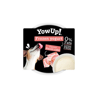 Yowup -  Yaourt Glacé au Gâteau Bacon pour Chiens - 110g