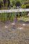 Pontec - Pompe Jeux d'Eau PondoVario 2500 pour Bassin - 2500l/h Indicateur image num&eacute;ro 4