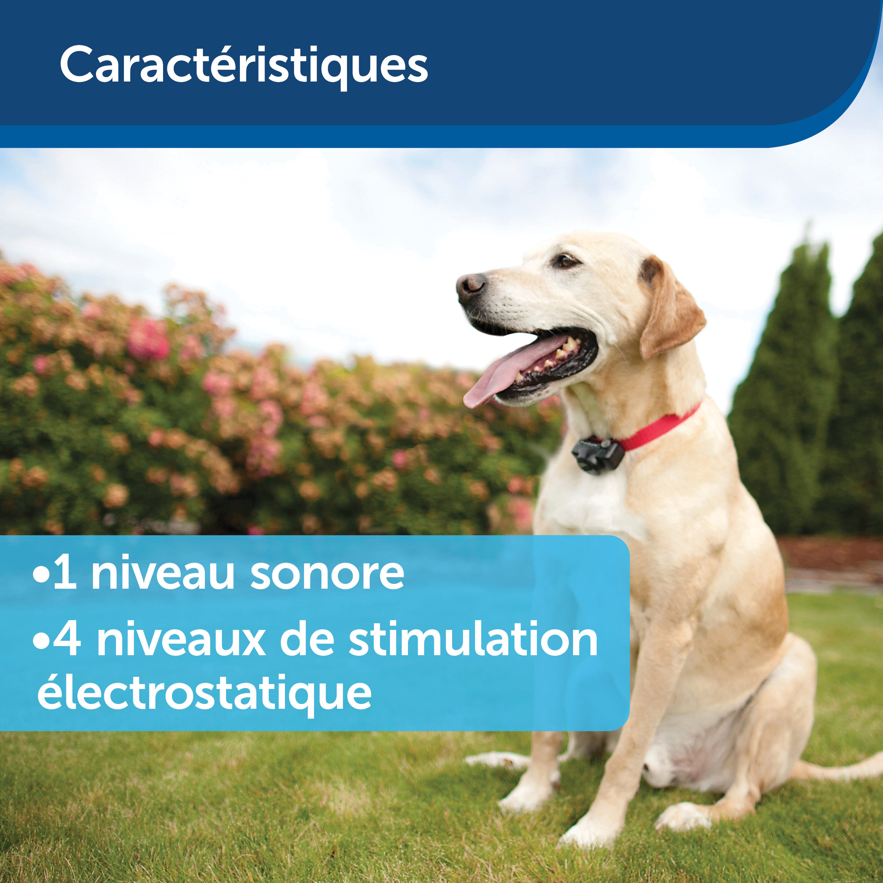 PetSafe - Cl&ocirc;ture Anti-Fugue PIG19-16412 pour Chien - 15cm Image num&eacute;ro 6
