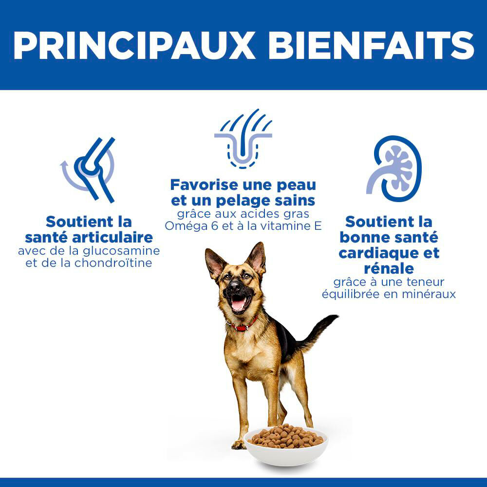 Hill's Science Plan - Mature Adult Croquettes Pour Grand Chien Ag&eacute; Au Poulet  - 18kg Image num&eacute;ro 8