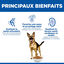 Hill's Science Plan - Mature Adult Croquettes Pour Grand Chien Ag&eacute; Au Poulet  - 18kg Indicateur image num&eacute;ro 8