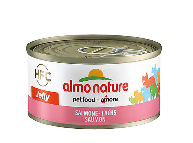 Almo Nature - Pâtée en Boîte HFC Jelly Saumon pour Chat - 70g image number null