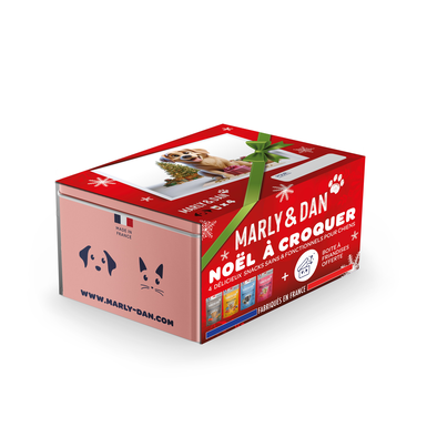 Marly & Dan - Coffret de Noël Multi Pack pour Chien
