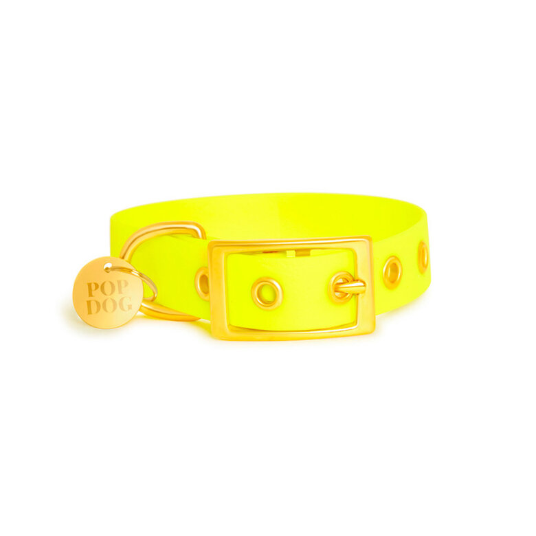 Pop Dog - Collier A  1/4 Illet Joyeux Jaune pour Chien - XS Image numéro 2 Pop Dog - Collier A  1/4 Illet Joyeux Jaune pour Chien - XS Image numéro 2