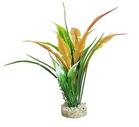 Sydeco - Décoration pour Aquarium Perle Anubias - 22 cm