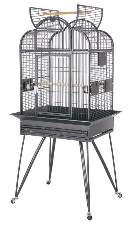United Bird - Cage Borghese avec Roulettes pour Oiseaux - Anthracite Image numéro 1 United Bird - Cage Borghese avec Roulettes pour Oiseaux - Anthracite Image numéro 1