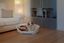Ferplast - Corbeille Siesta Deluxe 8 Bordeaux pour Chiens Indicateur image numéro 10