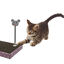 Leeby - Jouet Funny Souris pour Chats - 25cm Indicateur image numéro 3