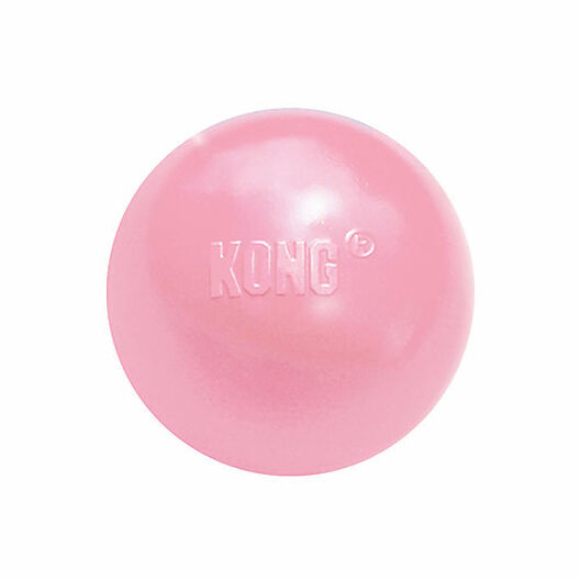 KONG - Jouet Balle Puppy Ball pour Chiot - M/L image number null