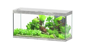Aquatlantis - Aquarium SPLENDID Led 2.0 Equip&eacute; Gris B&eacute;ton - 240L