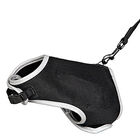 Trixie - Harnais Doux et Laisse de 1,20m pour Chat - 24/42cm image number null