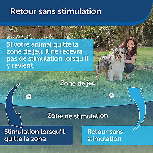 Petsafe - Kit Cl&ocirc;ture Wireless pour Chiens Image num&eacute;ro 3