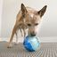 KONG - Distributeur Friandises Rewards Shell pour Petits Chiens - S Indicateur image numéro 4