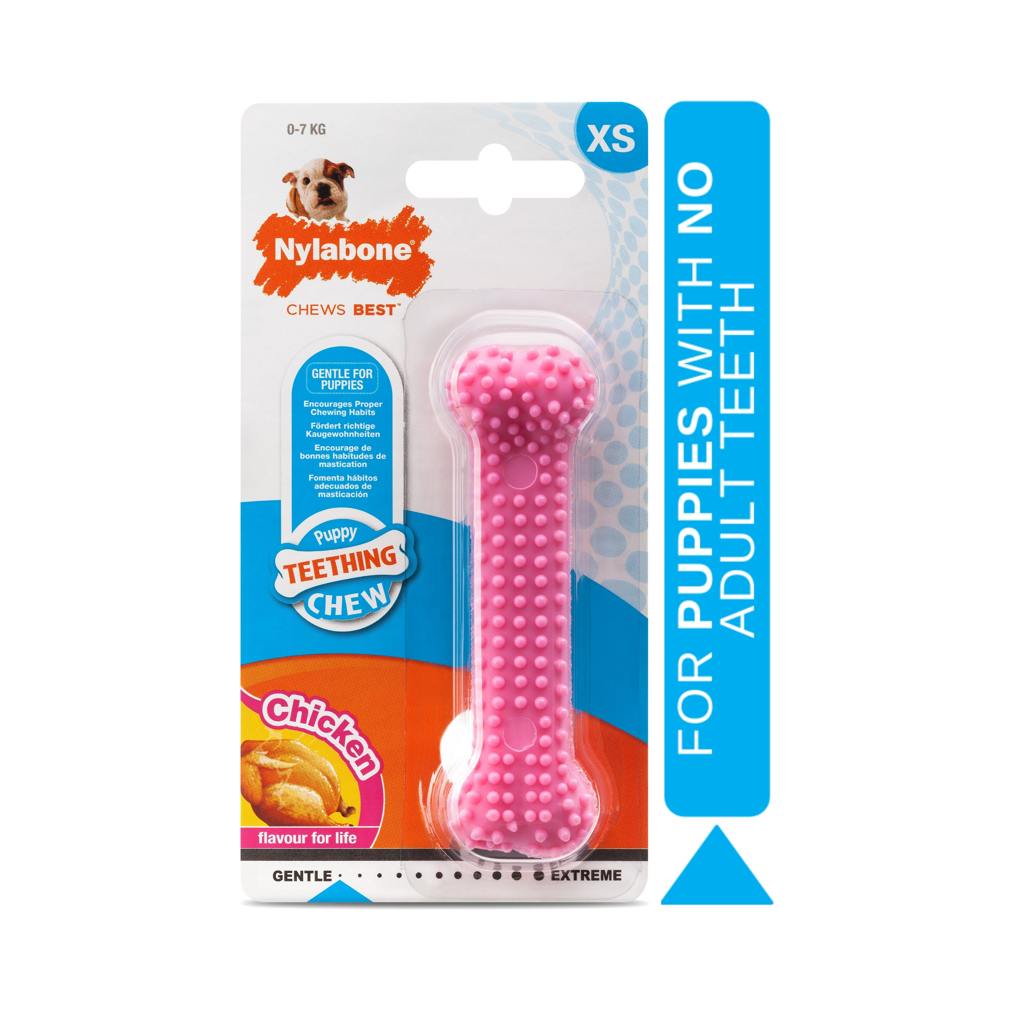 Nylabone - Jouet &agrave; M&acirc;cher Puppy Dental Bone XS - Rose Image num&eacute;ro 2
