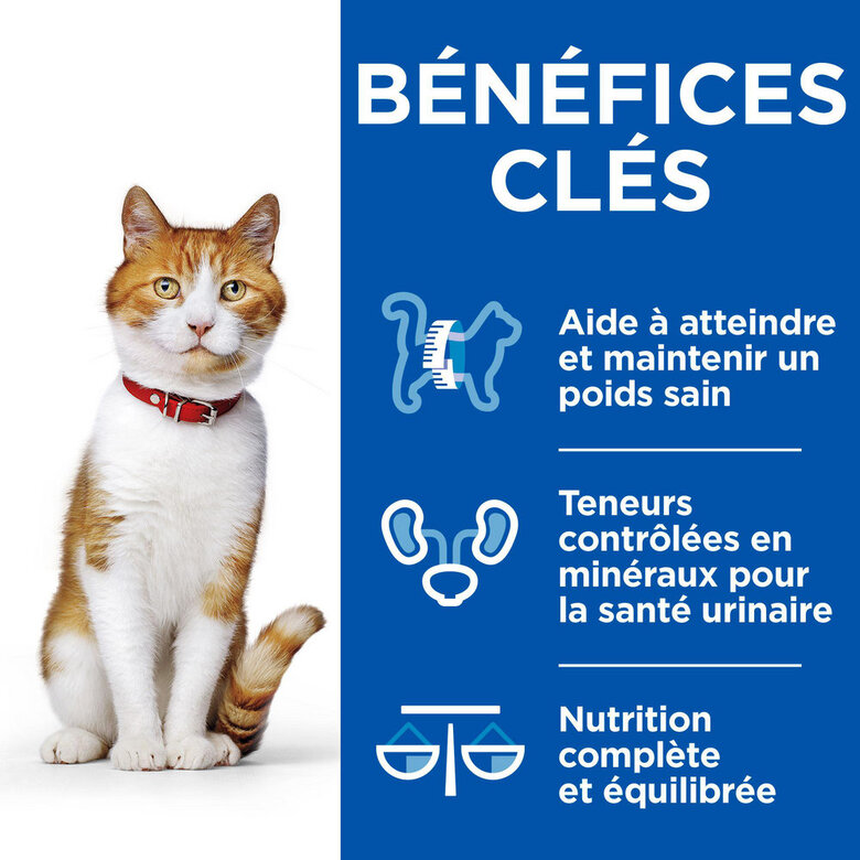 Hill’s Science Plan Healthy Cuisine Mijoté Pour Chat Adulte Stérilisé Au Poulet Et Légumes  - 12x80g Image numéro 3 Hill’s Science Plan Healthy Cuisine Mijoté Pour Chat Adulte Stérilisé Au Poulet Et Légumes  - 12x80g Image numéro 3