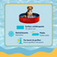 Summer Vibes - Piscine Rouge pour Chiens - M Indicateur image num&eacute;ro 4
