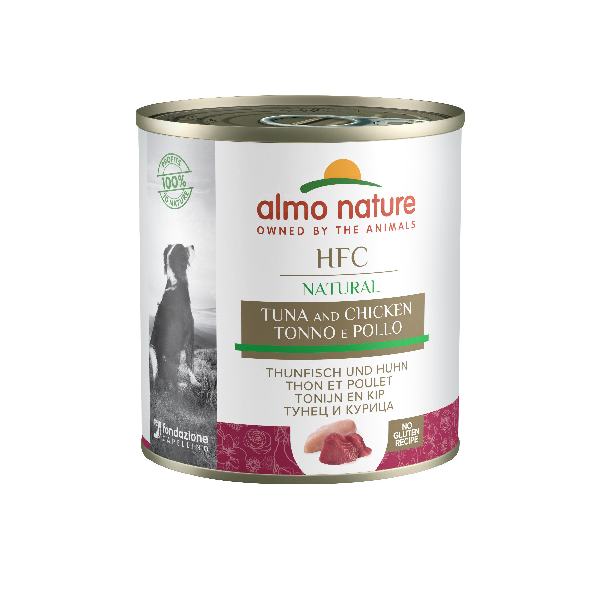 Almo Nature - P&acirc;t&eacute;e Hfc Thon Et Poulet - 290g Image num&eacute;ro 1