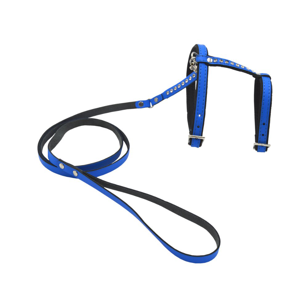 Comme Un Roi - Harnais et Laisse Cuir So Funky Bleu pour Chat - TU Image num&eacute;ro 1