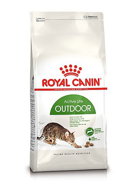 Royal Canin - Croquettes Outdoor Active Life pour Chat - 10Kg image number null