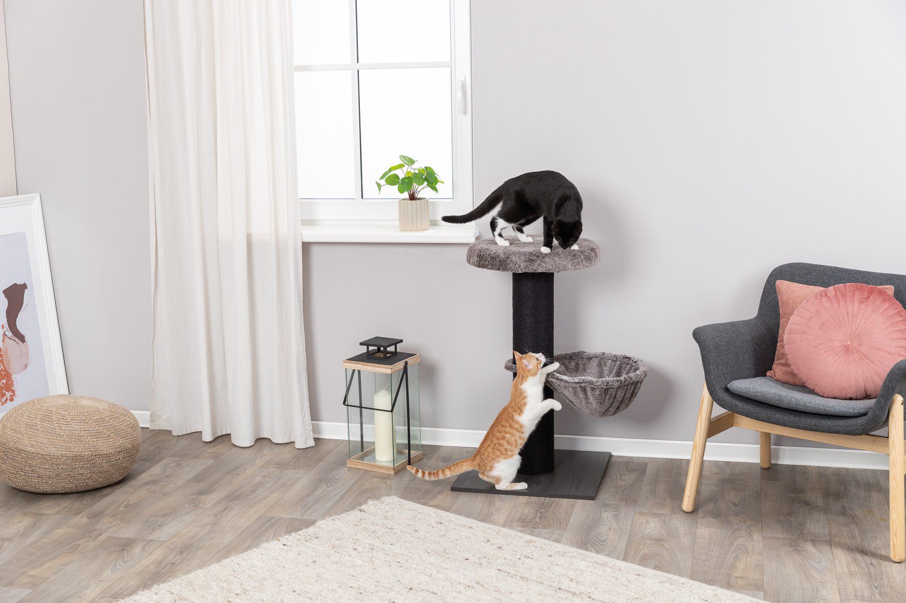 Trixie - Arbre &agrave; chat Mauricio brun - 84 cm Image num&eacute;ro 4