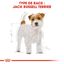 Royal Canin - Croquettes Jack Russel Terrier pour Chien Adulte - 3Kg Indicateur image numéro 3