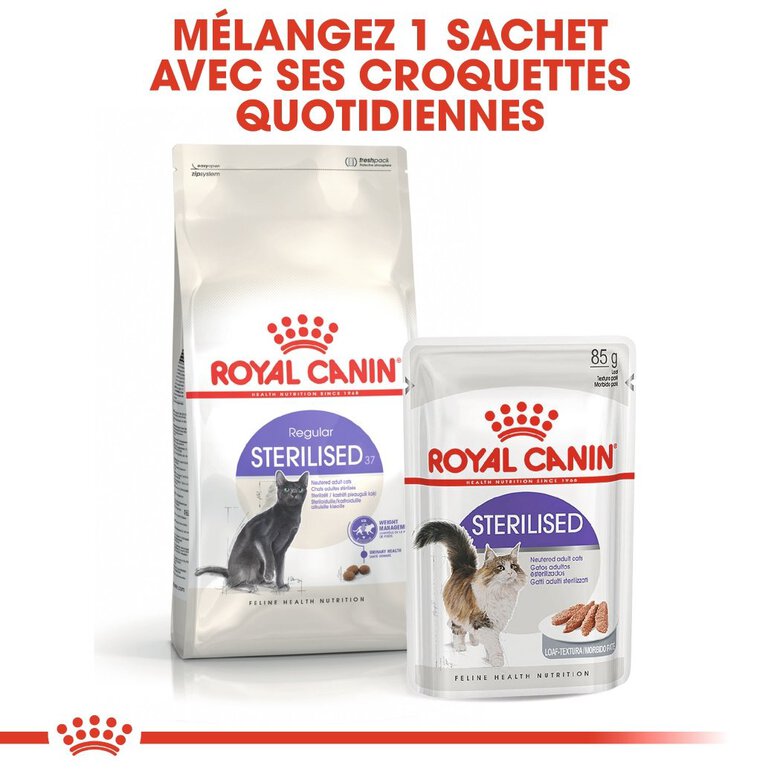 Royal Canin - Croquettes Sterilised 37 pour Chat - 2Kg Image numéro 7 Royal Canin - Croquettes Sterilised 37 pour Chat - 2Kg Image numéro 7