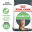 Royal Canin - Croquettes Digestive Care pour Chat - 4Kg Indicateur image num&eacute;ro 1