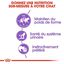 Royal Canin - Sachets Sterilised en Mousse pour Chat - 12x85g Indicateur image numéro 3