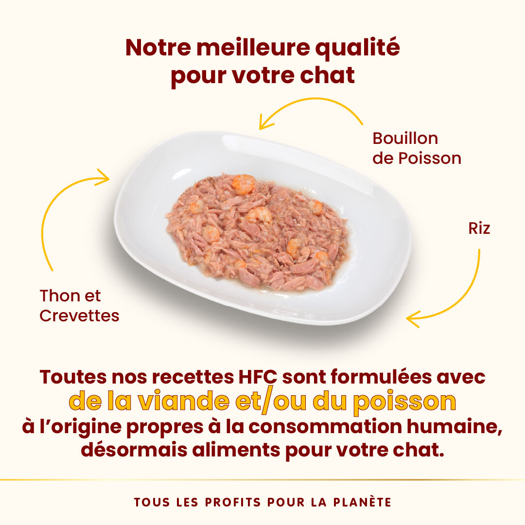 Almo Nature - P&acirc;t&eacute;e en Bo&icirc;te HFC Natural Thon et Crevettes pour Chat - 70g Image num&eacute;ro 3
