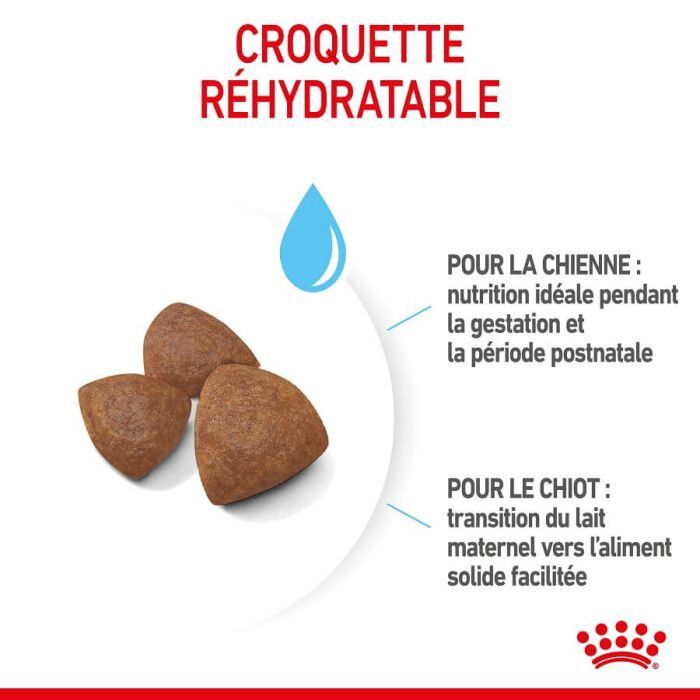 Royal Canin - Croquettes Medium Starter Mother & Babydog pour chiot - 15Kg Image num&eacute;ro 4