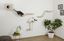 Kerbl - Mur d'Escalade Mount Everest pour Chat Indicateur image numéro 5