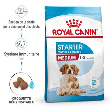 Royal Canin - Croquettes Medium Starter Mother & Babydog pour chiot - 15Kg